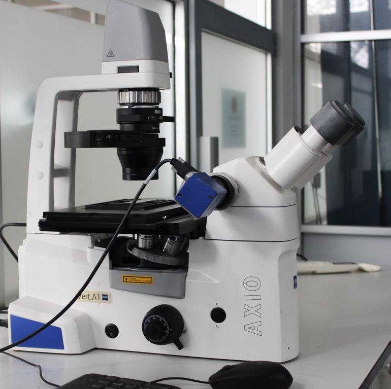 Epifluorescence Microscope