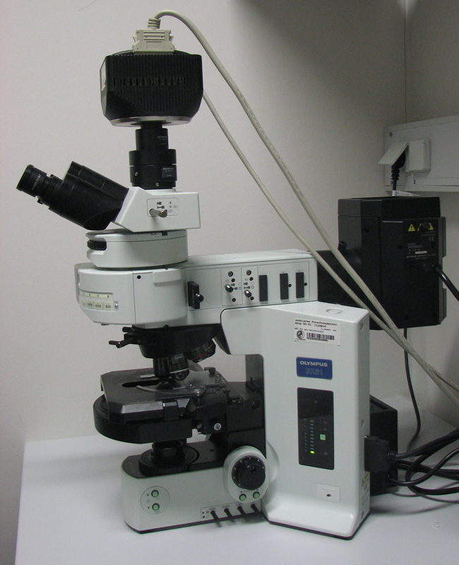 Fluorescent Microscope Olympus BX61 image 2