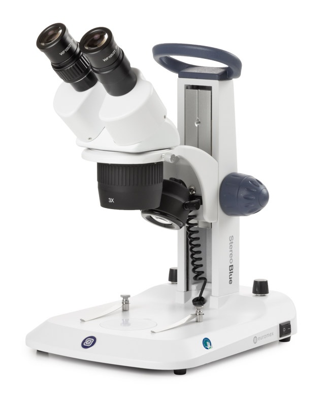 Stereo Microscope