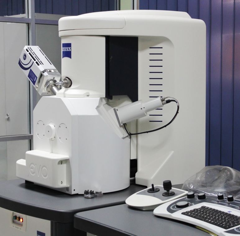 Scanning Electron Microscope (SEM)